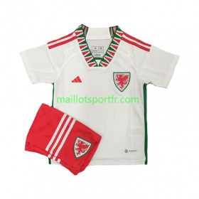 Maillot de Foot Pays de Galles Enfant Exterieur Coupe du monde 2022